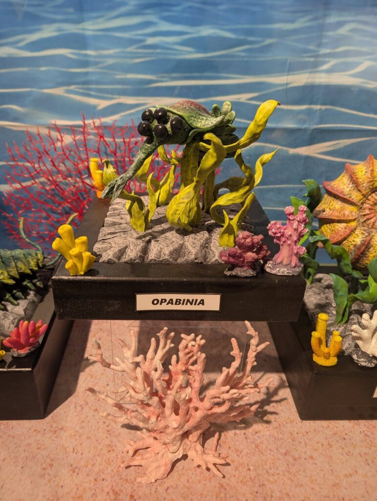 opabinia sculpture in the prehistoric creatures display in the elgin public museum