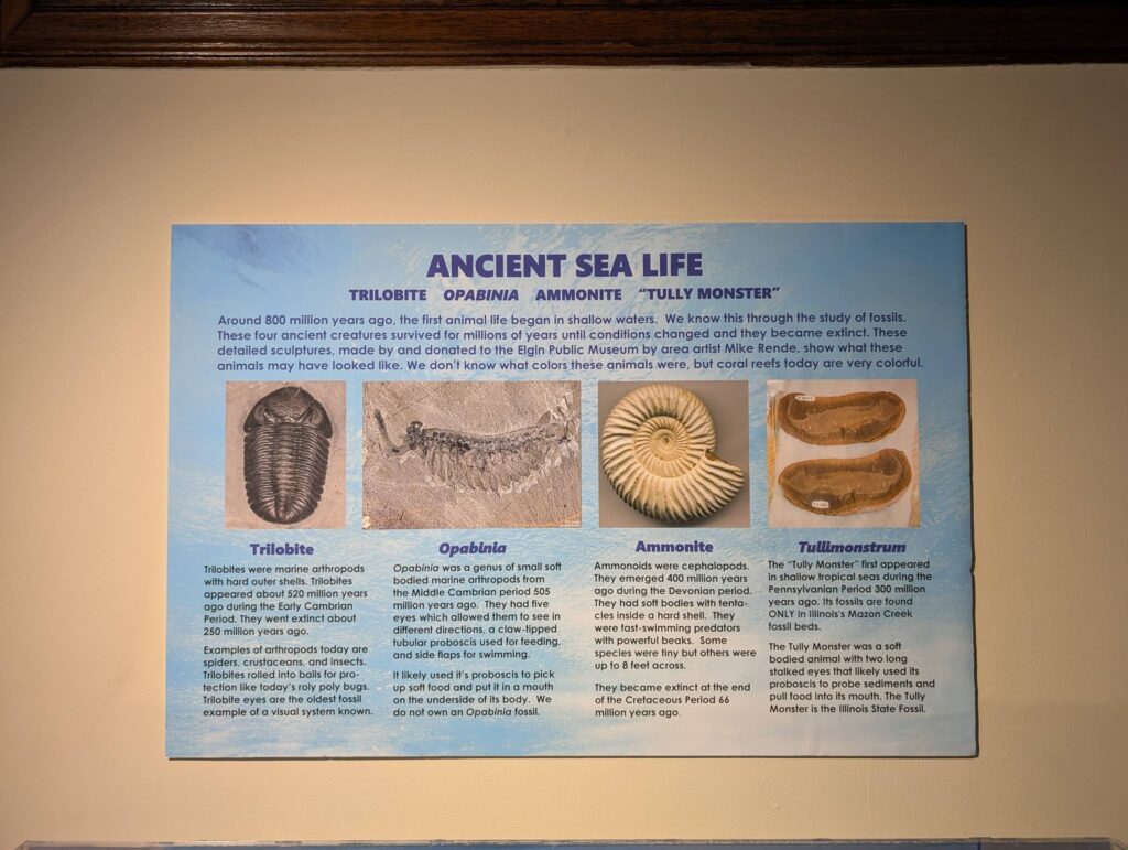 prehistoric creatures display signage in the elgin public museum