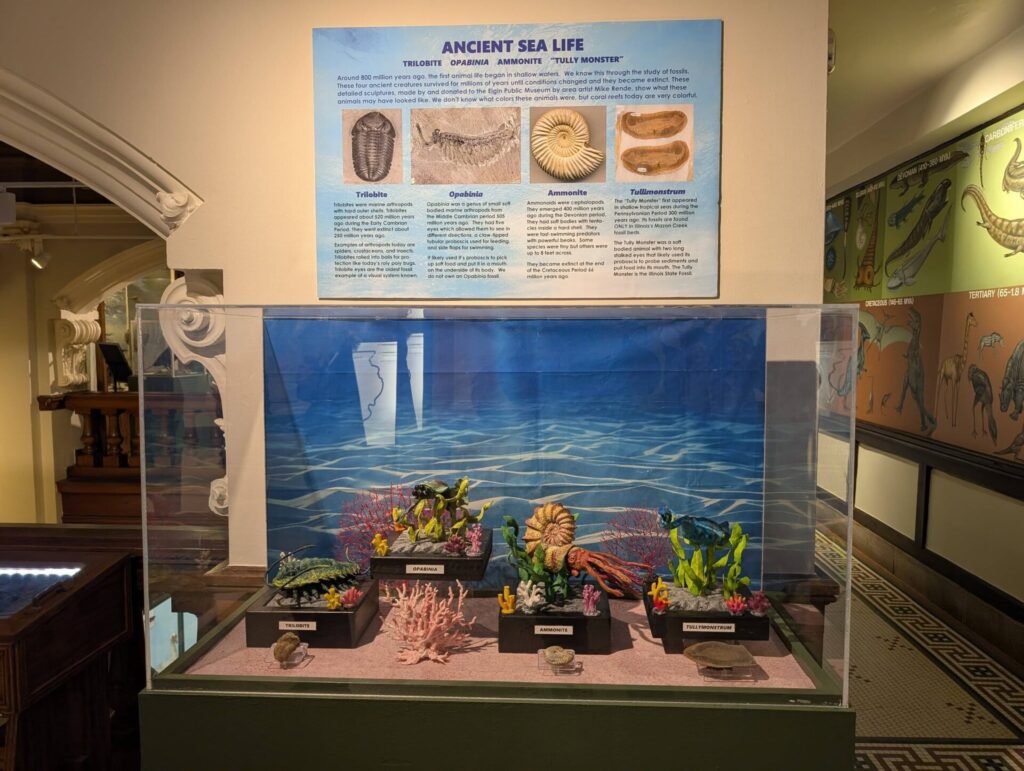 prehistoric creatures display in the elgin public museum 01