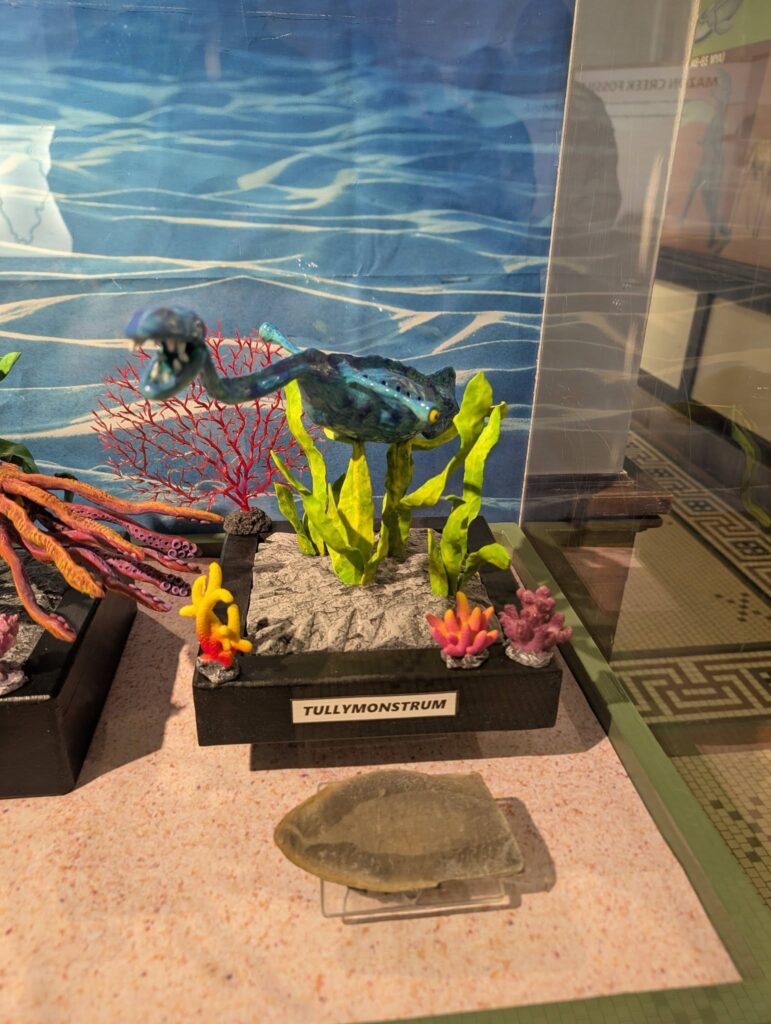 tully monster sculpture in the prehistoric creatures display in the elgin public museum